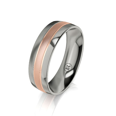 Titanium and Wide Gold Centered Wedding Ring (IN1038)