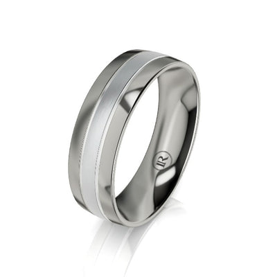 Titanium and Wide Gold Centered Wedding Ring (IN1038)